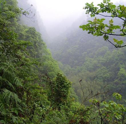 玉兰山泉周围美景