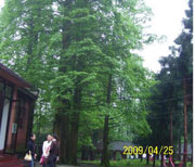 玉兰山泉旁风景